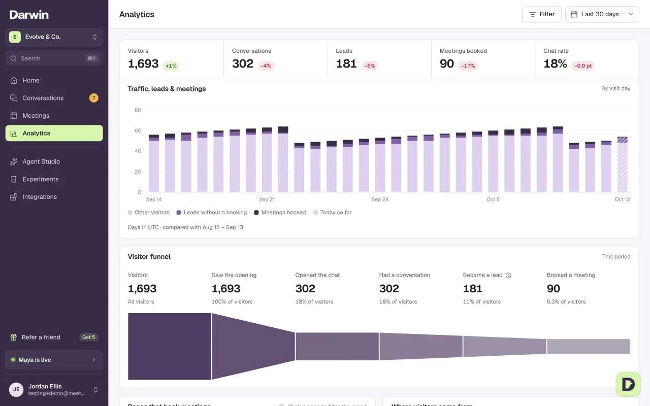Analytics: Visitors, Conversations, Leads, Meetings booked and Chat rate, a daily chart of traffic, leads and meetings, and the Visitor funnel.