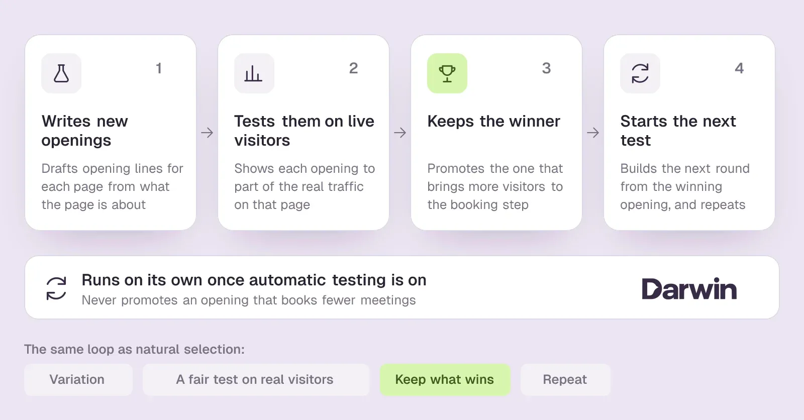 Darwin's automatic testing loop: it writes new openings, tests them on live visitors, keeps the one that brings more people to booking, then starts the next test