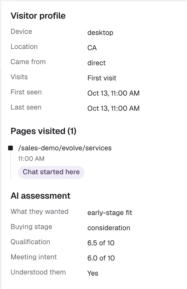 The Visitor profile and AI assessment panel: device, location, source, pages visited, what they wanted, buying stage, qualification and meeting intent.