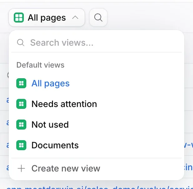The view menu open under All pages: Default views All pages, Needs attention, Not used and Documents, and Create new view.