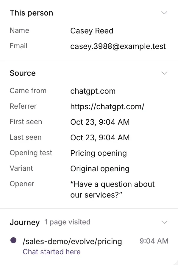 This person, Source with Came from, Referrer, First seen, Last seen, Opening test, Variant and Opener, and Journey with the page where the chat started.